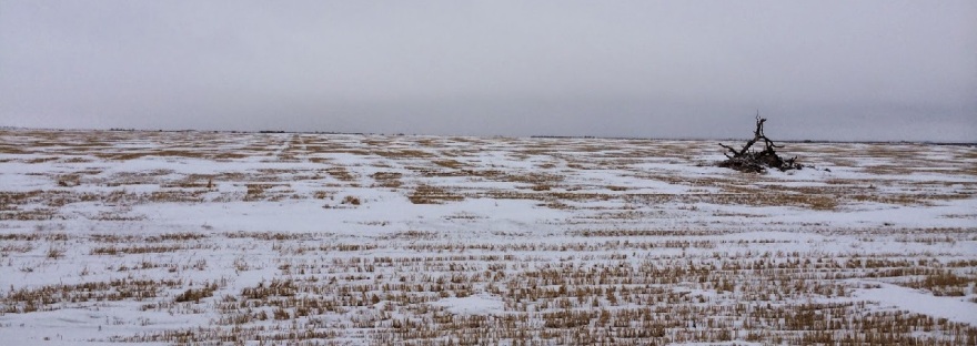 prairie winter view