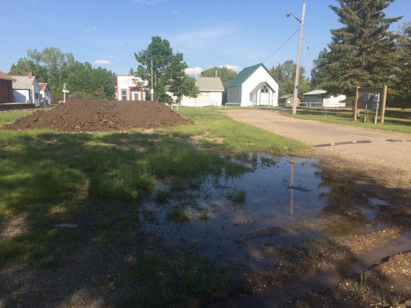 topsoil and low spots to fill