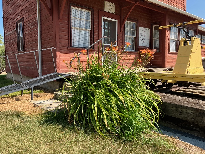 day lilies at the station house steps