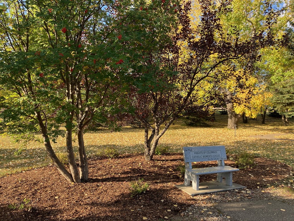 Fall colours along the walking path, newly mulched and trimmed.